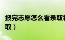 报完志愿怎么看录取状态（报完志愿怎么看录取）