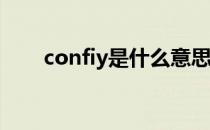 confiy是什么意思（fiy是什么意思）