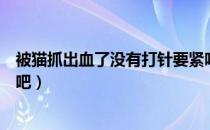 被猫抓出血了没有打针要紧吗（被猫抓了出血了不打针没事吧）