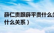 薛仁贵跟薛平贵什么关系（薛平贵和薛仁贵是什么关系）