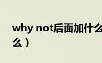 why not后面加什么词（why not后面加什么）