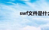 swf文件是什么（swf文件）