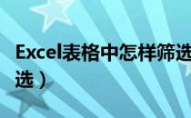 Excel表格中怎样筛选（excel表格如何使用筛选）