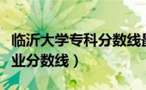 临沂大学专科分数线最低多少分（临沂大学专业分数线）