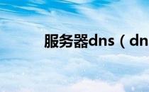 服务器dns（dns服务器是什么）