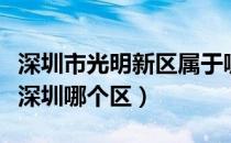 深圳市光明新区属于哪一个区（光明新区属于深圳哪个区）