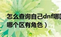 怎么查询自己dnf哪区有角色（dnf怎么查询哪个区有角色）