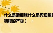 什么是活细胞什么是死细胞什么是细胞产物（活细胞死细胞细胞的产物）