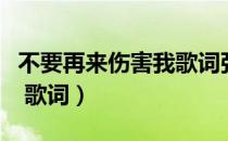 不要再来伤害我歌词张振宇（不要再来伤害我 歌词）