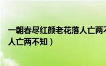 一朝春尽红颜老花落人亡两不知是谁（一朝春尽红颜老花落人亡两不知）