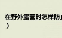 在野外露营时怎样防止（野外露营的注意事项）