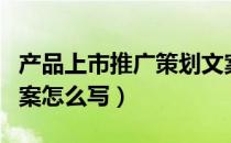 产品上市推广策划文案格式（新品上市推广方案怎么写）