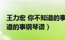 王力宏 你不知道的事 吉他谱（王力宏你不知道的事钢琴谱）