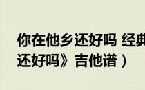 你在他乡还好吗 经典老歌简谱（《你在他乡还好吗》吉他谱）