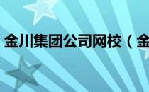 金川集团公司网校（金川公司总校成绩查询）