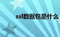 ssl数据包是什么（数据包是什么）