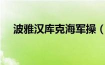 波雅汉库克海军操（波雅汉库克海军操）