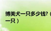 博美犬一只多少钱?（博美犬的价格是多少元一只）