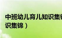 中班幼儿育儿知识集锦简短（中班幼儿育儿知识集锦）