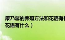 康乃馨的养殖方法和花语有什么寓意（康乃馨的养殖方法和花语有什么）