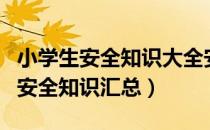 小学生安全知识大全安全知识（关于小学生的安全知识汇总）