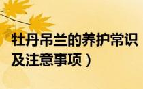 牡丹吊兰的养护常识（牡丹吊兰简介养殖方法及注意事项）