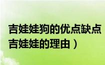 吉娃娃狗的优点缺点（吉娃娃犬的缺点及饲养吉娃娃的理由）