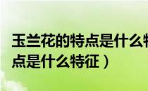 玉兰花的特点是什么特征一年级（玉兰花的特点是什么特征）