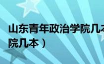 山东青年政治学院几本专业（山东青年政治学院几本）