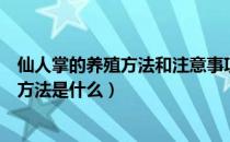 仙人掌的养殖方法和注意事项有哪些（仙人掌的用途与养殖方法是什么）