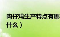 肉仔鸡生产特点有哪些?（肉鸡生产的特点是什么）