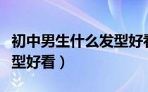 初中男生什么发型好看图片（初中男生什么发型好看）