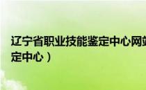 辽宁省职业技能鉴定中心网站最新动态（辽宁省职业技能鉴定中心）