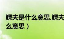 鳏夫是什么意思,鳏夫的鳏怎么读?（鳏夫是什么意思）