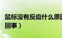 鼠标没有反应什么原因（鼠标没有反应是怎么回事）