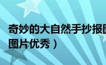 奇妙的大自然手抄报图片清楚（大自然手抄报图片优秀）