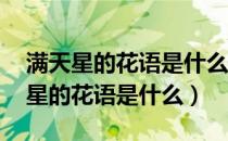 满天星的花语是什么,适合送给什么人（满天星的花语是什么）