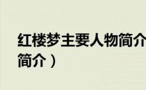 红楼梦主要人物简介50字（红楼梦主要人物简介）