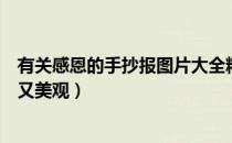 有关感恩的手抄报图片大全精美图片（感恩手抄报图片简单又美观）