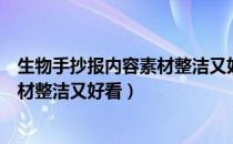 生物手抄报内容素材整洁又好看又漂亮（生物手抄报内容素材整洁又好看）