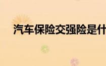 汽车保险交强险是什么（交强险是什么）