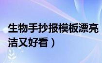 生物手抄报模板漂亮（生物手抄报图片资料简洁又好看）