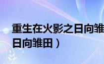 重生在火影之日向雏田 博人（重生在火影之日向雏田）