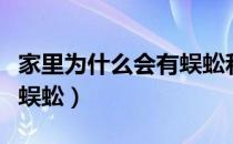 家里为什么会有蜈蚣和蜘蛛（家里为什么会有蜈蚣）