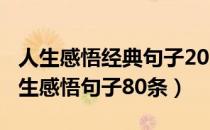 人生感悟经典句子2020（【推荐】2022年人生感悟句子80条）