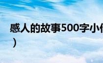 感人的故事500字小作文（感人的故事500字）