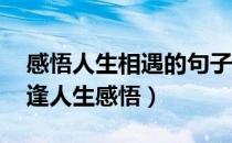 感悟人生相遇的句子 经典（人生在世便是相逢人生感悟）