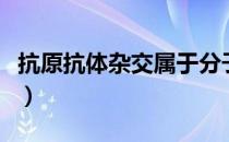 抗原抗体杂交属于分子杂交吗（抗原抗体杂交）