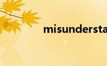 misunderstanding可数吗