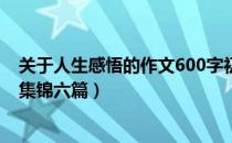 关于人生感悟的作文600字初中作文（有关感悟人生的作文集锦六篇）